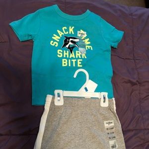 Boy shirt and shorts set